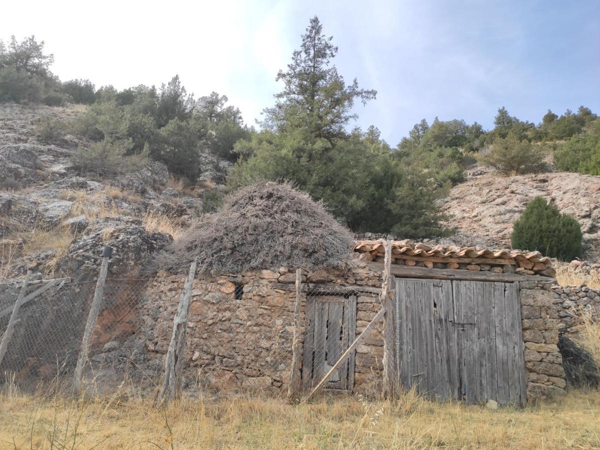 Casa Rural Sierra Del Solorio Iruecha Exterior foto